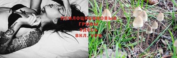 первитин Кемь