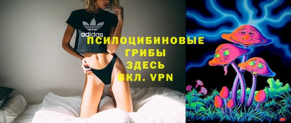 первитин Кемь